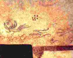 �����̺�